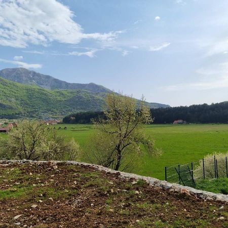 Porto Njegusi A2 Apartamento Cetinje Exterior foto