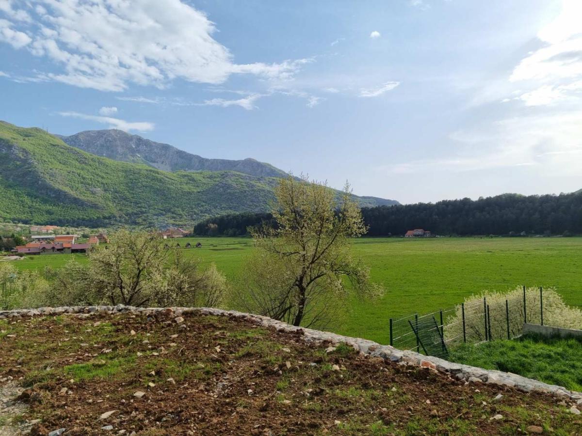 Porto Njegusi A2 Apartamento Cetinje Exterior foto